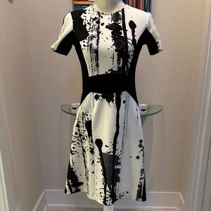 Stylish Black and White Dress